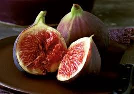 The Republic of Figs