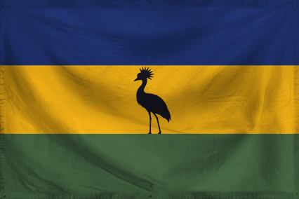 The Democratic Republic of T