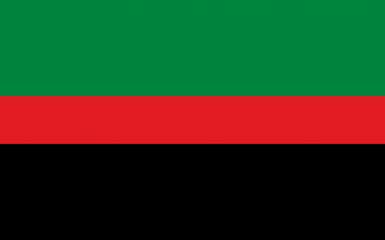 The Provisional Government o