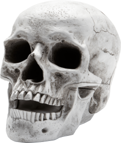 The Republic of The Universe