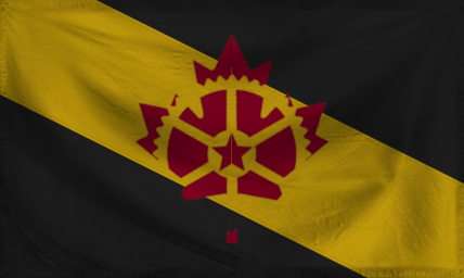 The Democratic Socialist Sta