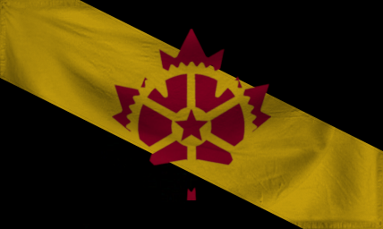 The Democratic Socialist Sta