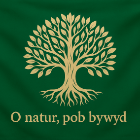 The Queendom of Tirdiegol