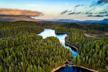 The Republic of Tongass Nati