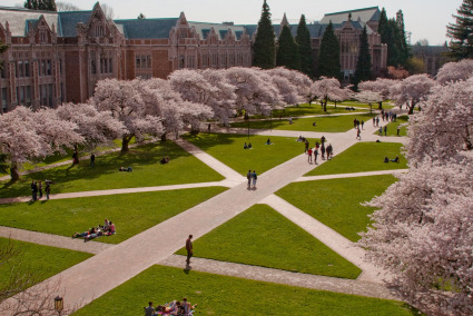 The University of University