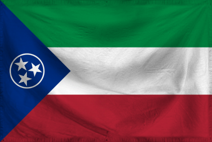 The Kingdom of Viscinia