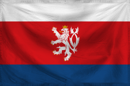 The Federation of VSR