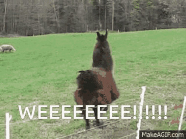 The Commonwealth of Weeeee w
