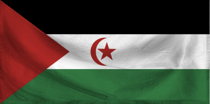 The Democratic Republic of W