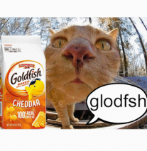 The Zamns of WeSuckia