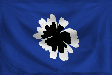 The Free Land of Wild Ranch