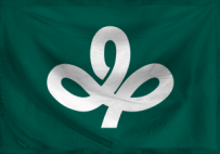 The Pristine Wilderness of Y