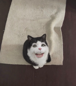 The Kingdom of Zelmick Empir