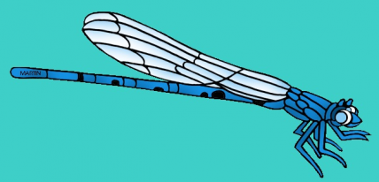 The Principality of Zygop